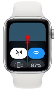How to Mute Apple Watch