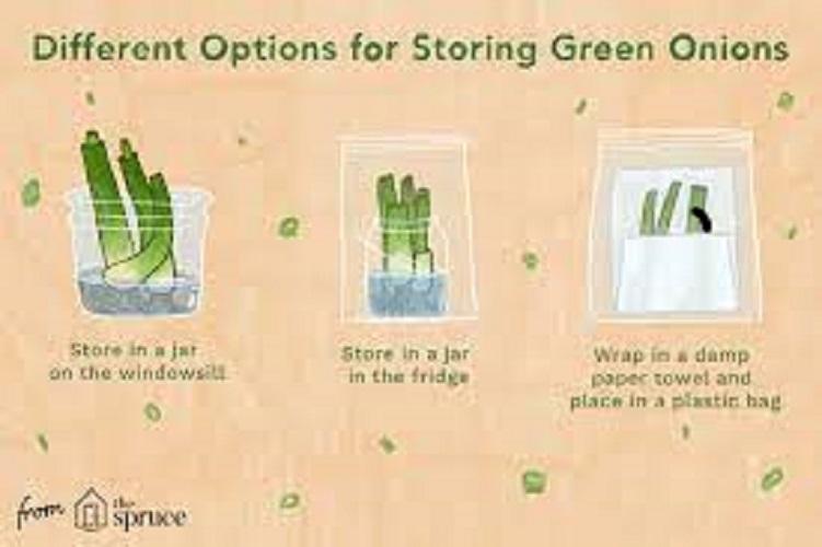 4 Methods to Store Green Onions to Keep them Fresh