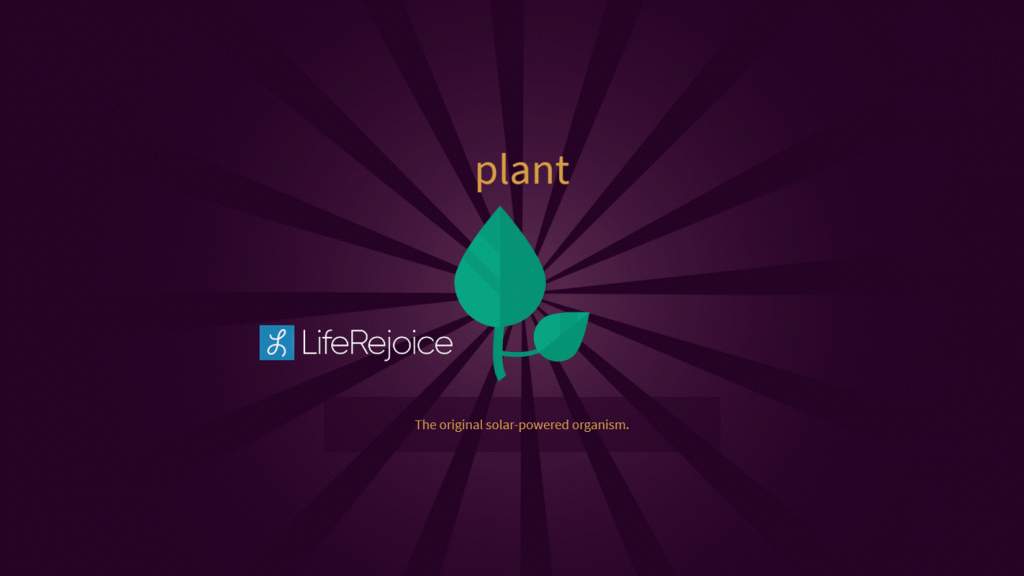 4 Steps to make flower in Little Alchemy 2 Early Finder