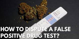 How to dispute a false positive drug test