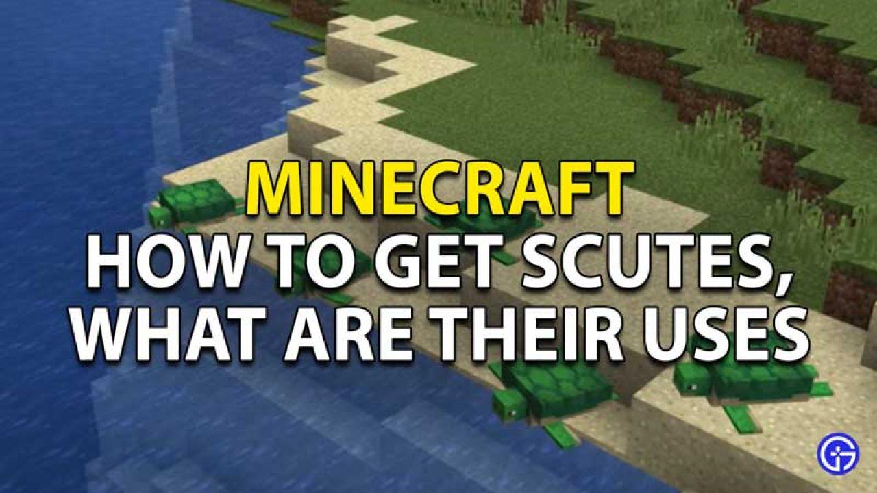 How to Get Scutes in Minecraft