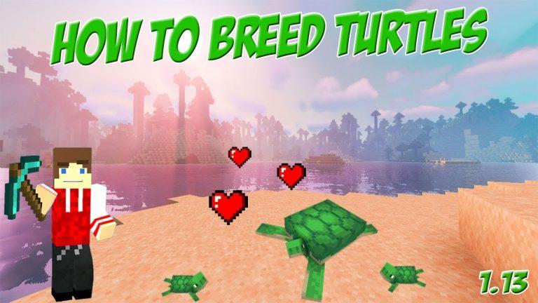 6 Steps to Breed Turtles in Minecraft
