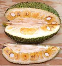 How to eat jackfruit