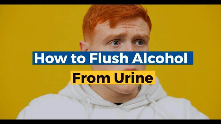 5 Steps to Flush Alcohol From Urine