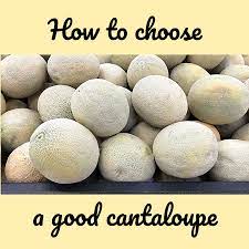 How to pick a good cantaloupe