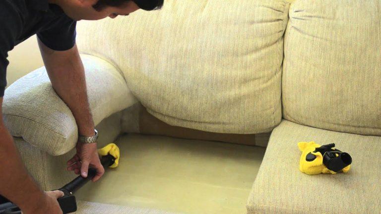 5 Ways to Check for Bed Bugs in Couch