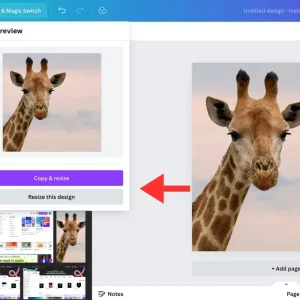12 Ways to Resize an Image without Losing Quality