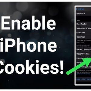 5 Steps to Enable Cookies on iPhone